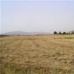Pinoso property: Pinoso, Spain Land 41662