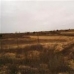 Pinoso property: bedroom Land in Alicante 41665