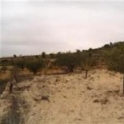 Pinoso property: Land for sale in Pinoso 41666