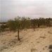 Pinoso property: bedroom Land in Alicante 41666