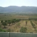 Pinoso property: Alicante, Spain House 41667