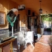 Hondon de las Nieves property: Alicante, Spain House 41692