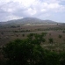 Yecla property: House in Yecla 41697