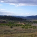 Pinoso property: Pinoso, Spain House 41702