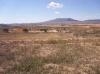 Pinoso property: Land for sale in Pinoso 41724