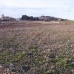 Torre Del Rico property: Torre Del Rico, Spain Land 41735