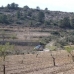 Pinoso property: Pinoso Land, Spain 41741