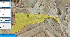 Pinoso property: Land with bedroom in Pinoso 41758