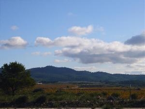 Pinoso property: Land with bedroom in Pinoso, Spain 41758