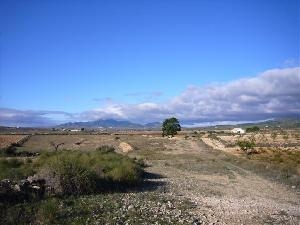 Pinoso property: Land in Alicante for sale 41758