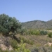 Yecla property: bedroom Land in Yecla, Spain 41760