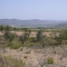 Yecla property: Murcia Land, Spain 41760