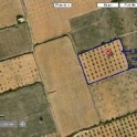 Yecla property: Land for sale in Yecla 41762