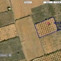 Yecla property: Land for sale in Yecla 41762