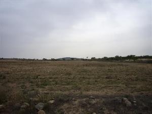 Pinoso property: Land in Alicante for sale 41764