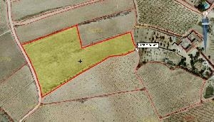 Pinoso property: Land for sale in Pinoso, Spain 41765