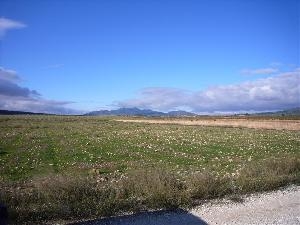 Pinoso property: Land with bedroom in Pinoso, Spain 41765
