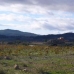 Pinoso property: Land in Alicante 41765