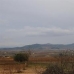 Pinoso property: Land for sale in Pinoso 41766