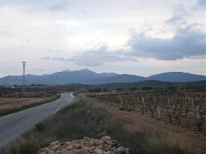Pinoso property: Alicante property | bedroom Land 41767