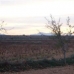 Pinoso property: Pinoso, Spain Land 41768