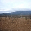 Pinoso property: Land for sale in Pinoso 41769