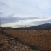 Pinoso property: bedroom Land in Pinoso, Spain 41769