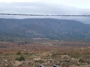 Pinoso property: Land for sale in Pinoso 41772