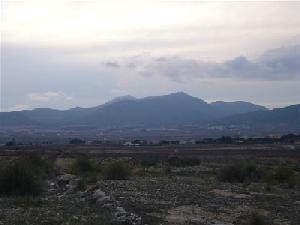 Pinoso property: Pinoso Land 41772