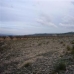 Pinoso property:  Land in Alicante 41772