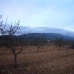 Pinoso property: Land for sale in Pinoso 41773