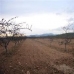 Pinoso property: bedroom Land in Pinoso, Spain 41773