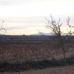 Pinoso property: Land in Pinoso 41773