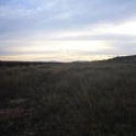 Pinoso property: Land for sale in Pinoso 41774