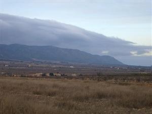 Pinoso property: Land for sale in Pinoso 41776