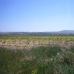 Pinoso property: Land for sale in Pinoso 41779