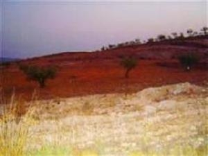 Pinoso&nbsp;property:&nbsp;Land&nbsp;for&nbsp;sale&nbsp;in&nbsp;Pinoso&nbsp;41816