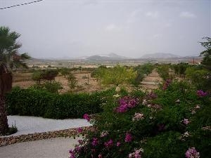 Hondon de las Nieves property: Alicante property | 5 bedroom Villa 41824