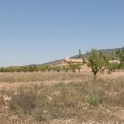 Pinoso property: House for sale in Pinoso 41846