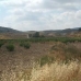 Jumilla property: Murcia, Spain Land 41855