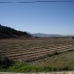 Pinoso property: Pinoso, Spain Villa 41865