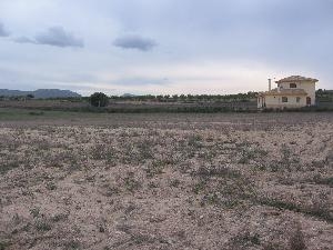 Pinoso property: Land for sale in Pinoso 41870