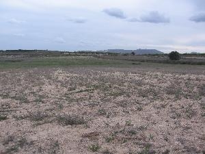 Pinoso property: Land in Alicante for sale 41870