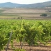 Villena property: Villena, Spain Land 41871