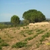 Villena property: bedroom Land in Alicante 41871