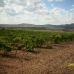 Villena property:  Land in Alicante 41871