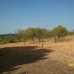Villena property: Beautiful Land for sale in Alicante 41871