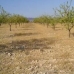 Yecla property: Murcia, Spain Land 41878