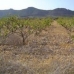 Yecla property: bedroom Land in Murcia 41878