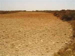 Pinoso property: Land for sale in Pinoso 41879